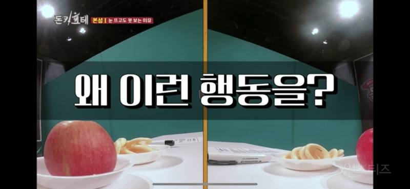 눈 뜨고도 못 보는 이유 | 인스티즈