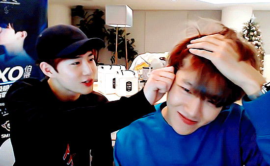 수호랑 백현 | 인스티즈