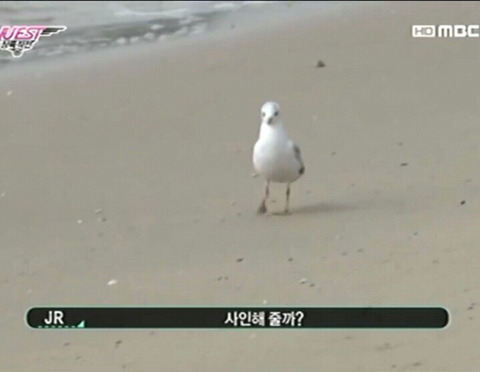 타팬인데 뉴이스트 종현님 너무 귀엽네여 | 인스티즈