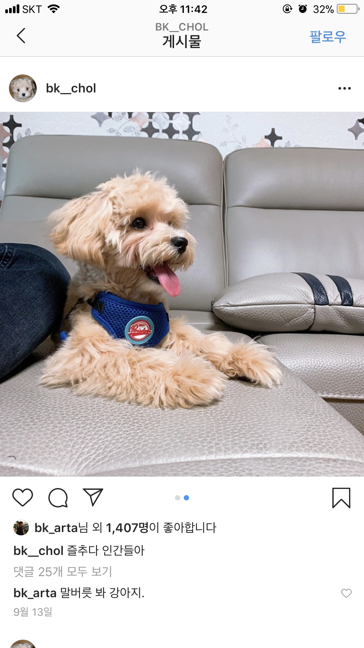 조병규 강아지 인스타 너무 귀엽다 | 인스티즈