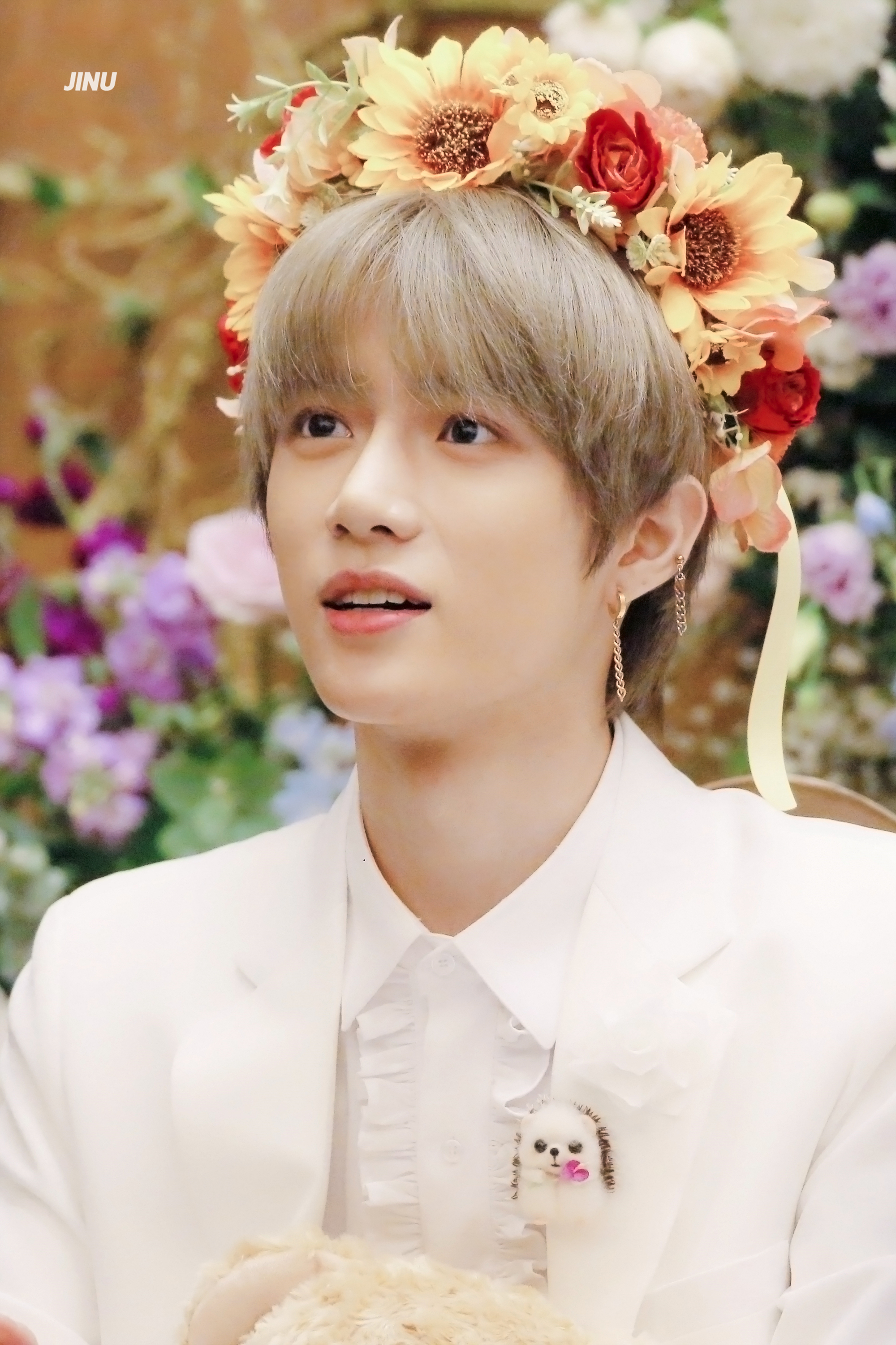 박지훈-이재현-최범규 얼굴상 좋아하는데 소나무임?? | 인스티즈