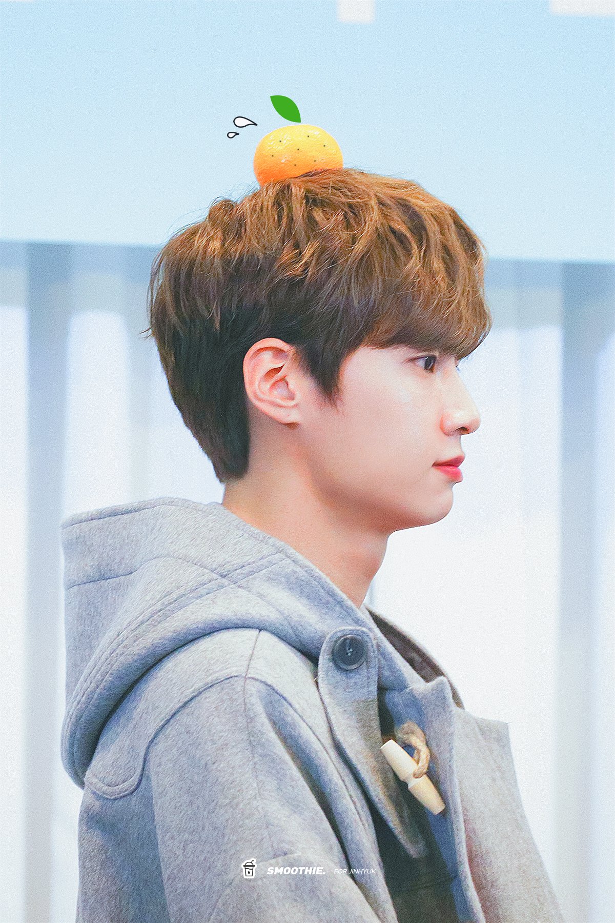 귤진혁 | 인스티즈