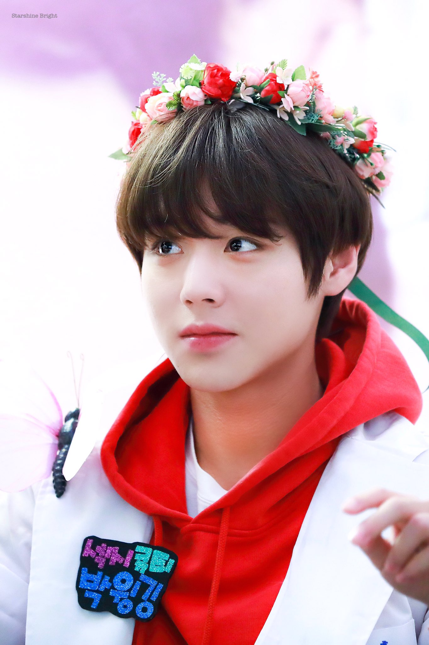 박지훈-이재현-최범규 얼굴상 좋아하는데 소나무임?? | 인스티즈