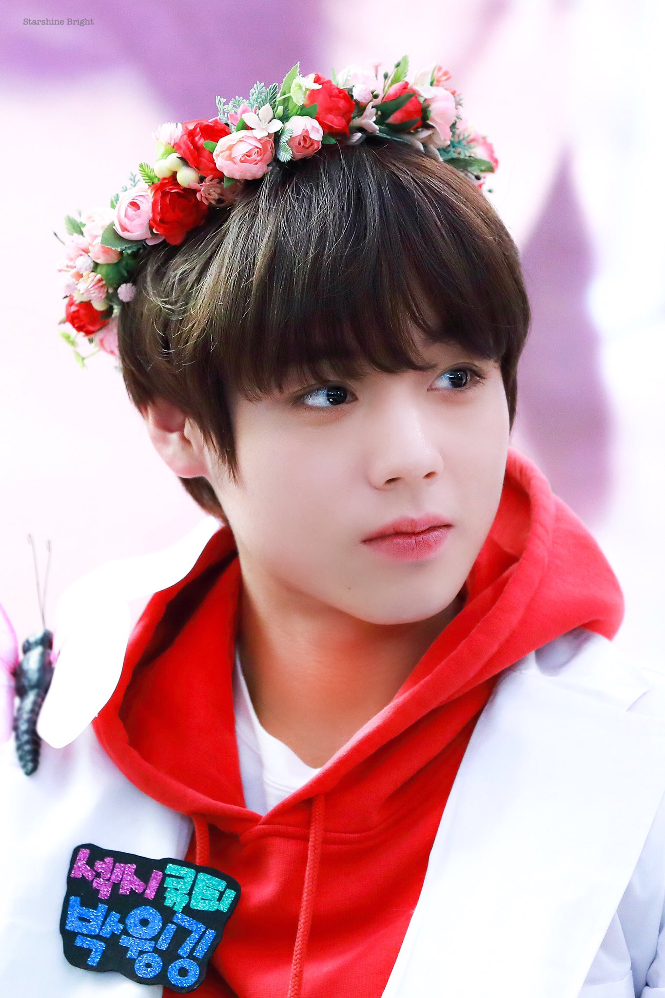 박지훈-이재현-최범규 얼굴상 좋아하는데 소나무임?? | 인스티즈