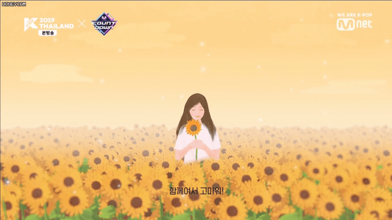 아이즈원 해바라기 들으면 눈물나와 ㅠㅠ | 인스티즈