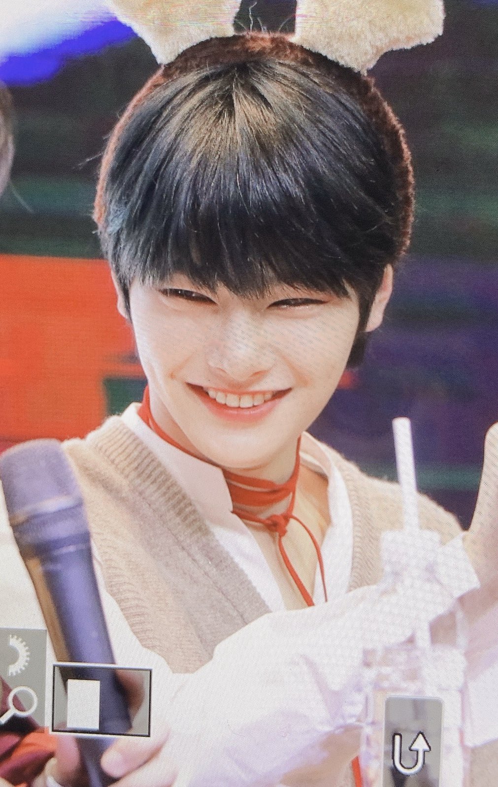 사막여우랑 너무 똑같이 생겼어 진짜.... | 인스티즈