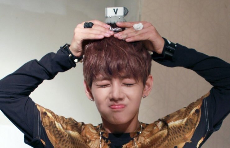 쪼꼬들 귀여운 쪼꼬찐빵 보고가💜 | 인스티즈