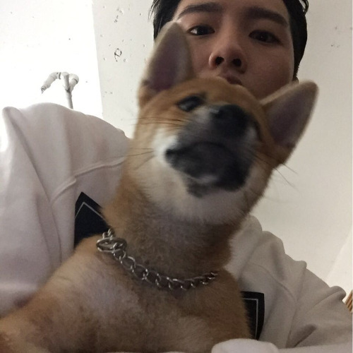 쓰니의 주관적 확신의 브랜뉴상 | 인스티즈