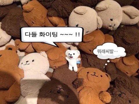 기분 안 좋으니 내 최애짤 풀고 간다 | 인스티즈