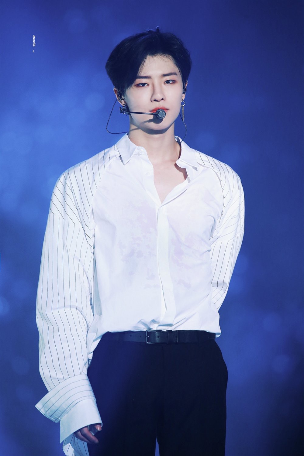 ㄱ 내 씨피 피지컬 각자로 봐도 쩔고 같이 먹으면 더 맛있는데 덩케 구경하실분 (영업아닌영업) | 인스티즈