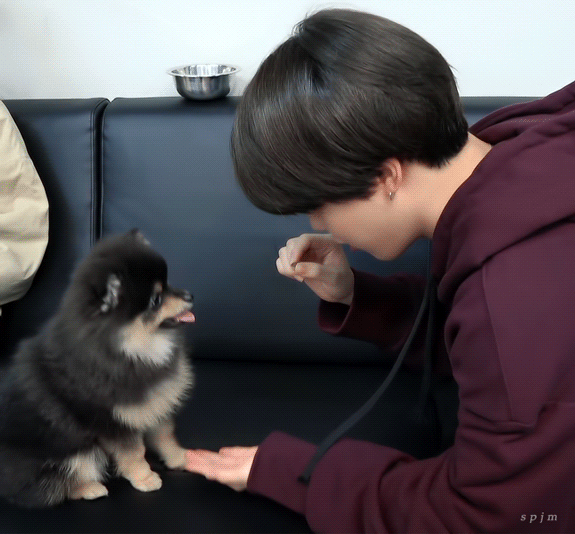 강양이와 연탄이 | 인스티즈