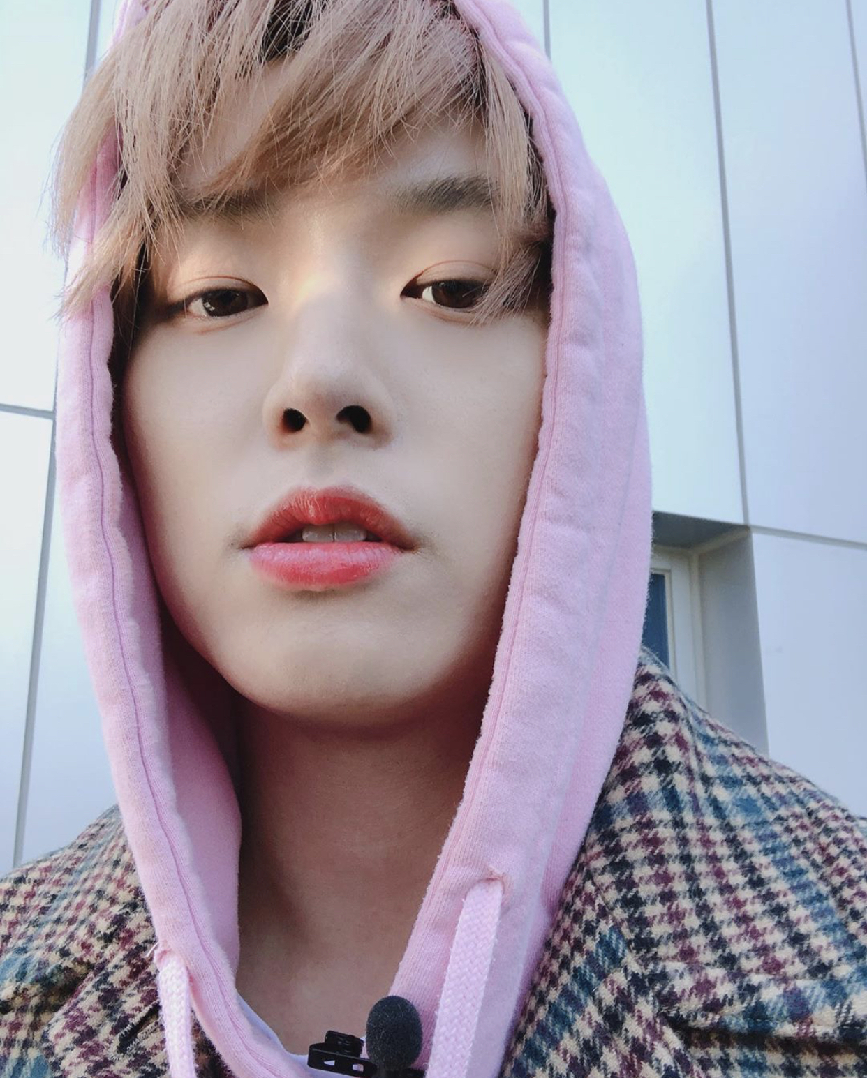 아기고양이 | 인스티즈