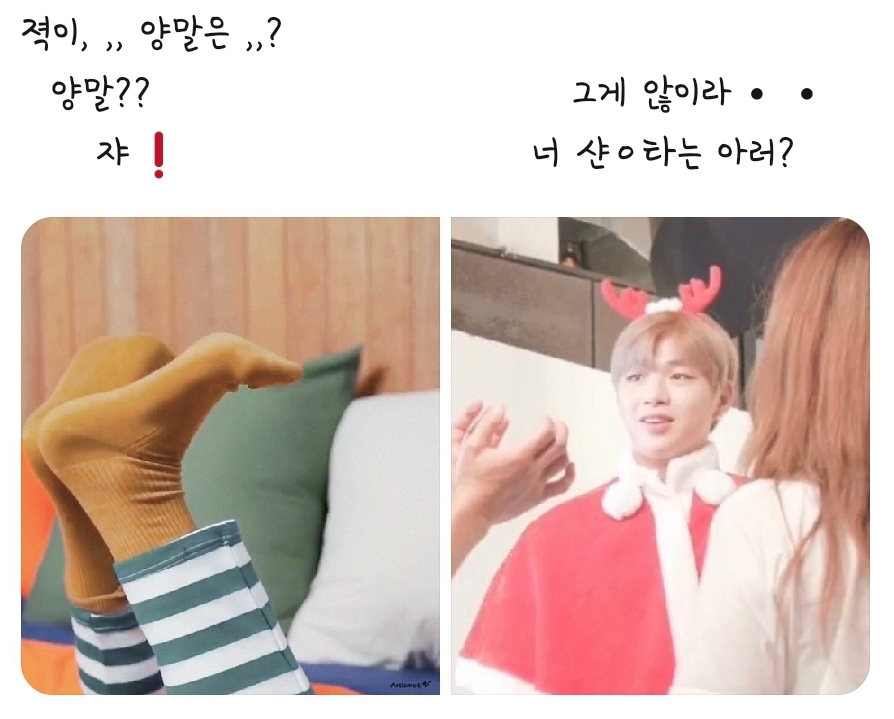 최근 강다니엘 시리즈 중 가장 출연빈도수 높은 애 | 인스티즈