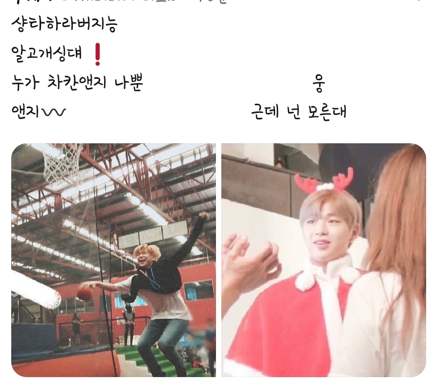 최근 강다니엘 시리즈 중 가장 출연빈도수 높은 애 | 인스티즈