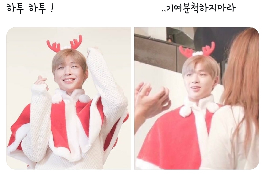 최근 강다니엘 시리즈 중 가장 출연빈도수 높은 애 | 인스티즈