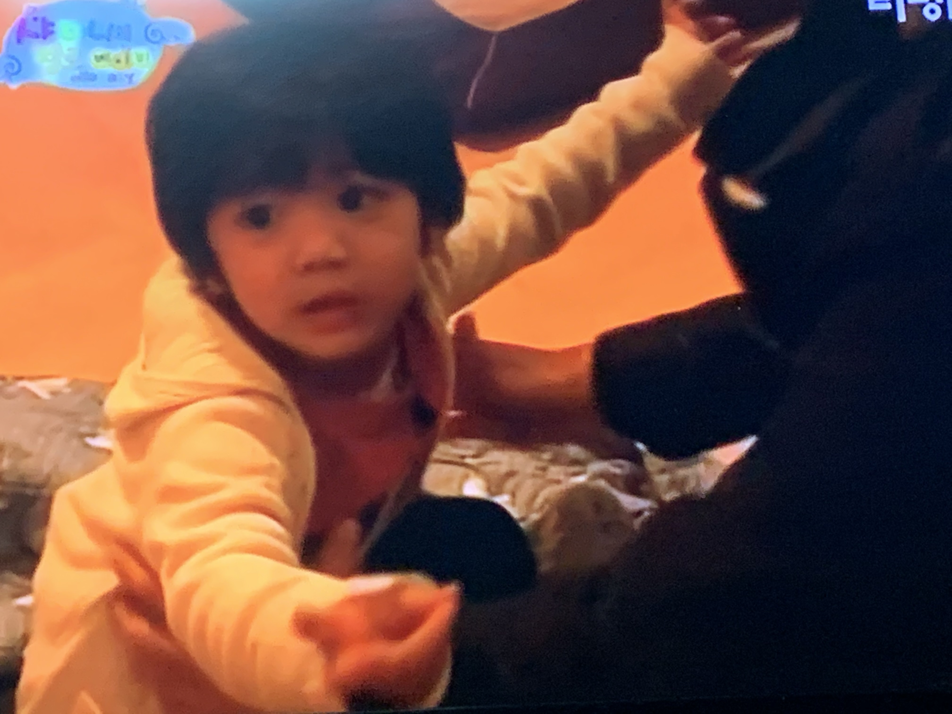 티비에서 헬로베이비 한다 | 인스티즈