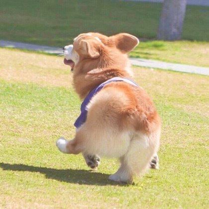 아니 송유빈 뒷모습 강아지에 모에화 시킨거봐 | 인스티즈