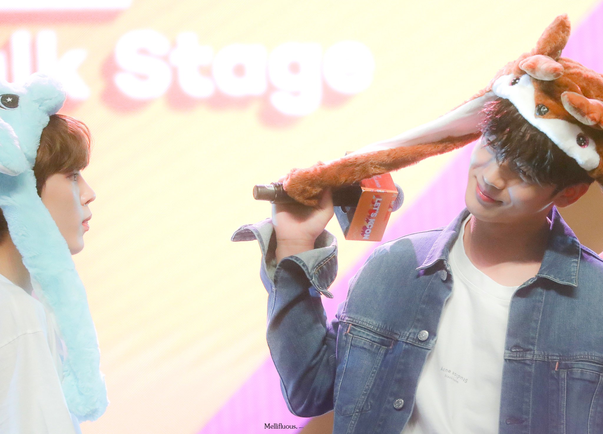 ㄱ 나 요캣런데 이 사진 왜 지금 봤냐 | 인스티즈