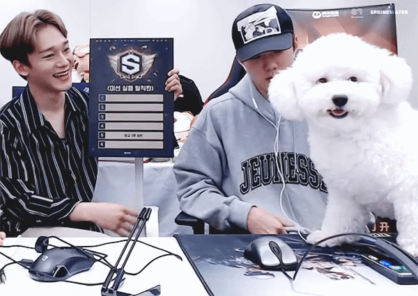 이 짤 너무 웃기고 귀여워 ㅋㅋㅋㅋㅋㅋ | 인스티즈