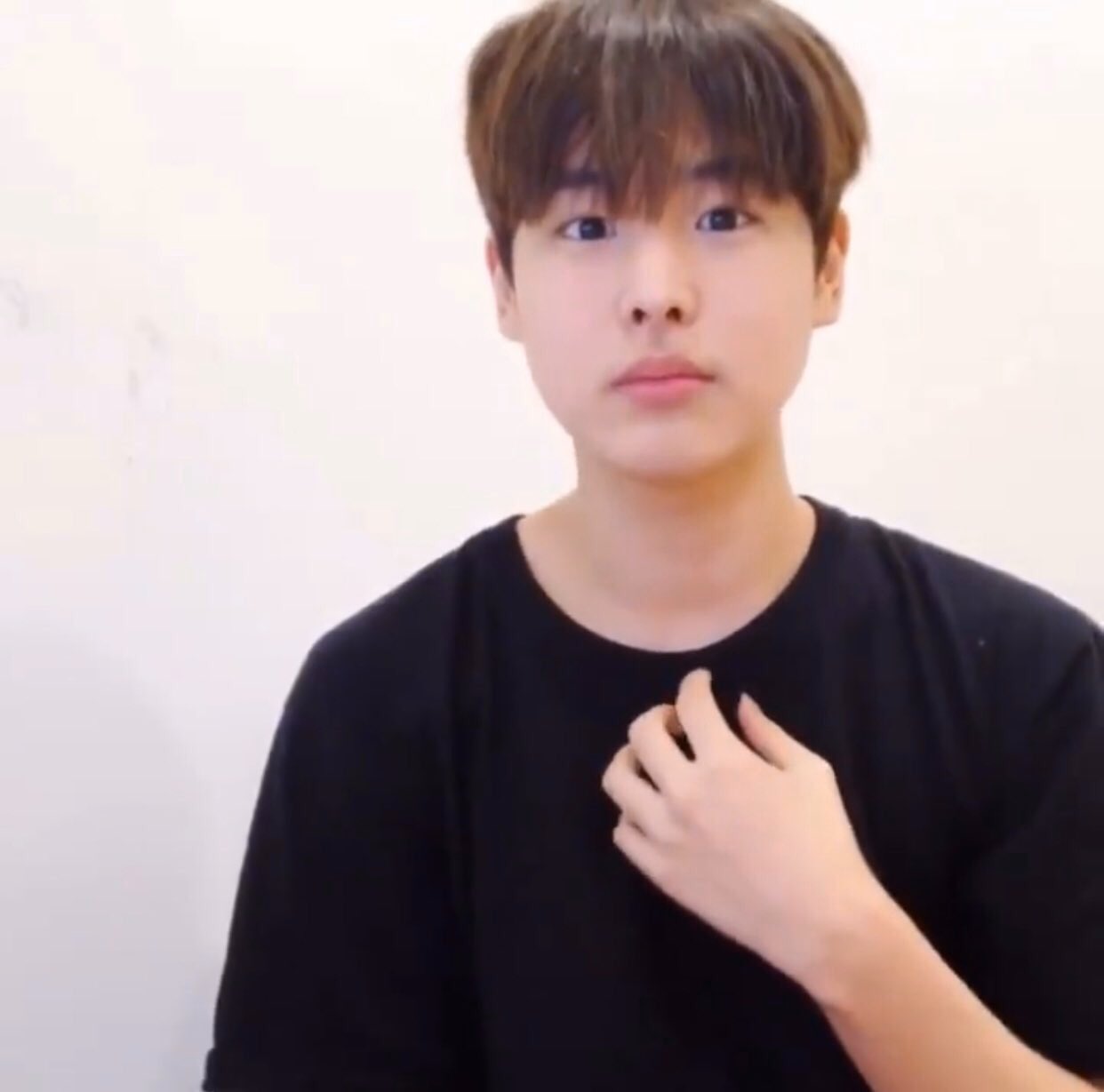 고구마 먹고 살찐 강아지 그거 최병찬 | 인스티즈