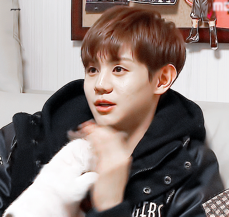 나 진짜 10년 넘게 순둥순둥한 애들만 좋아해.. | 인스티즈