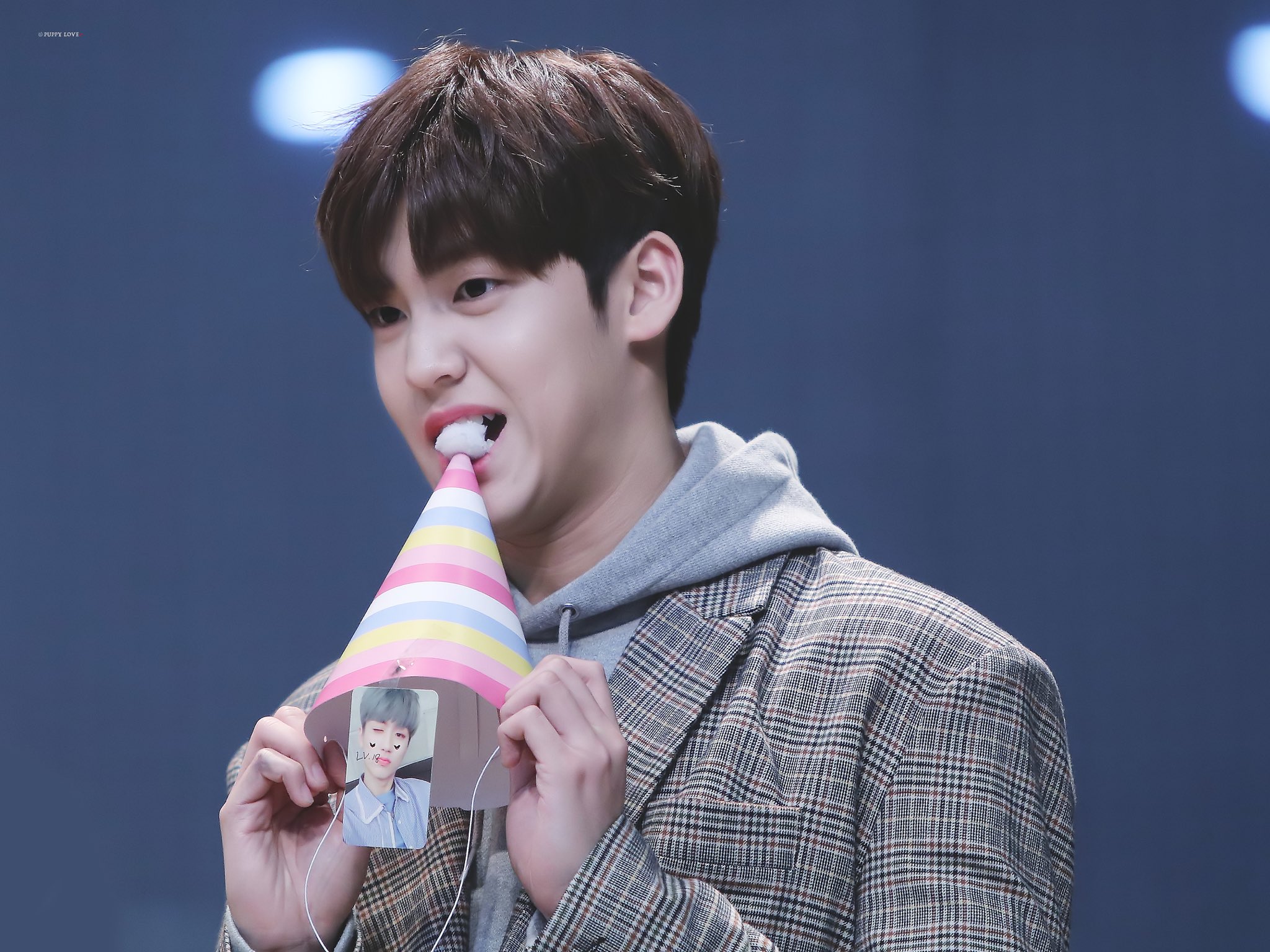 우리 강쥐 눈에 보이는건 다 입으로 가져가지 | 인스티즈