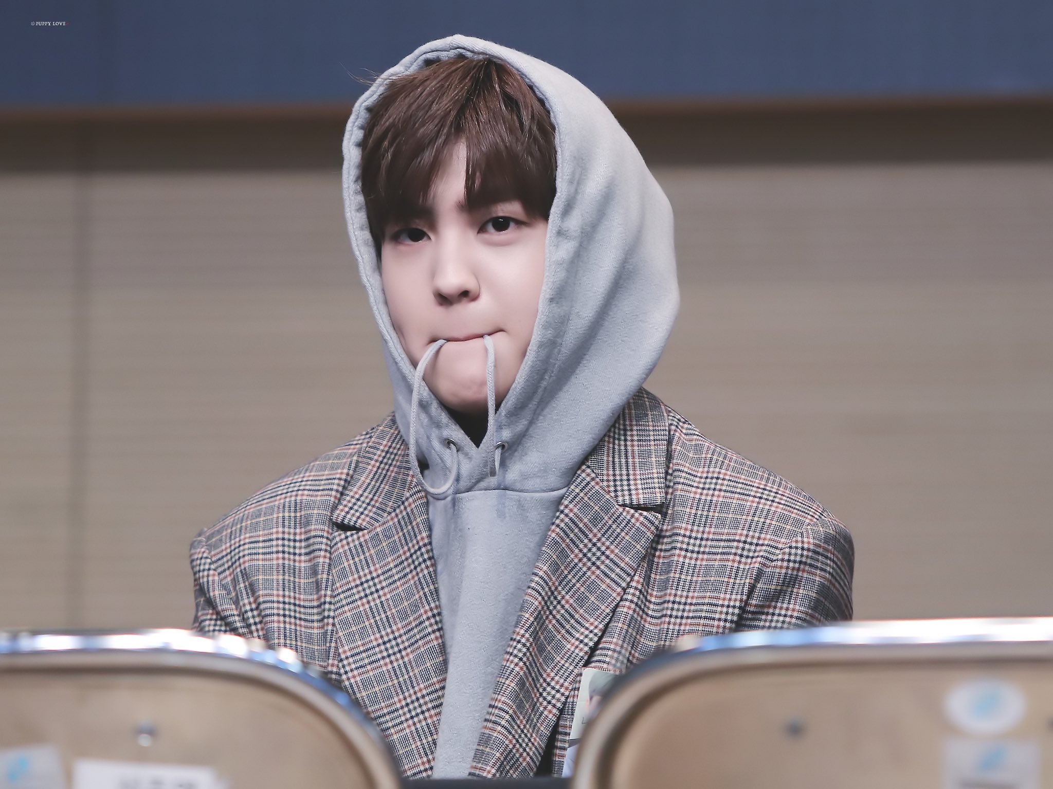 우리 강쥐 눈에 보이는건 다 입으로 가져가지 | 인스티즈