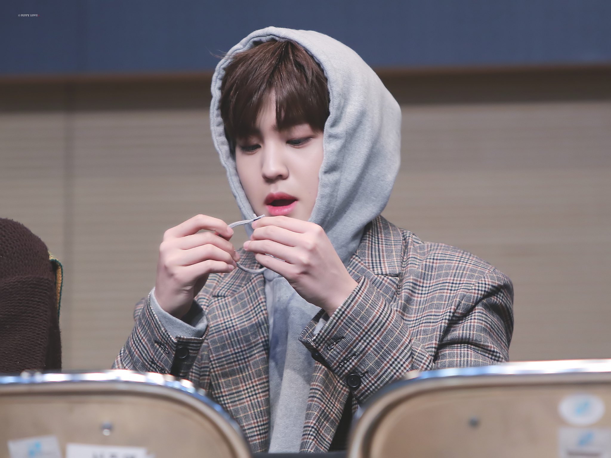 우리 강쥐 눈에 보이는건 다 입으로 가져가지 | 인스티즈