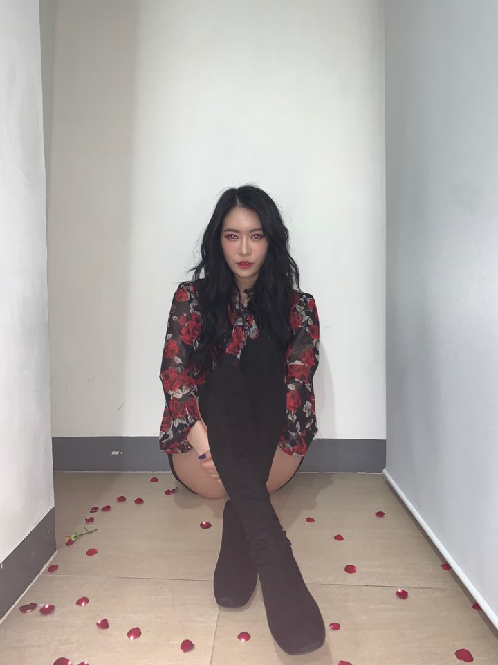 진짜 내 본진은 아이돌 아니면 뭐했을까 | 인스티즈