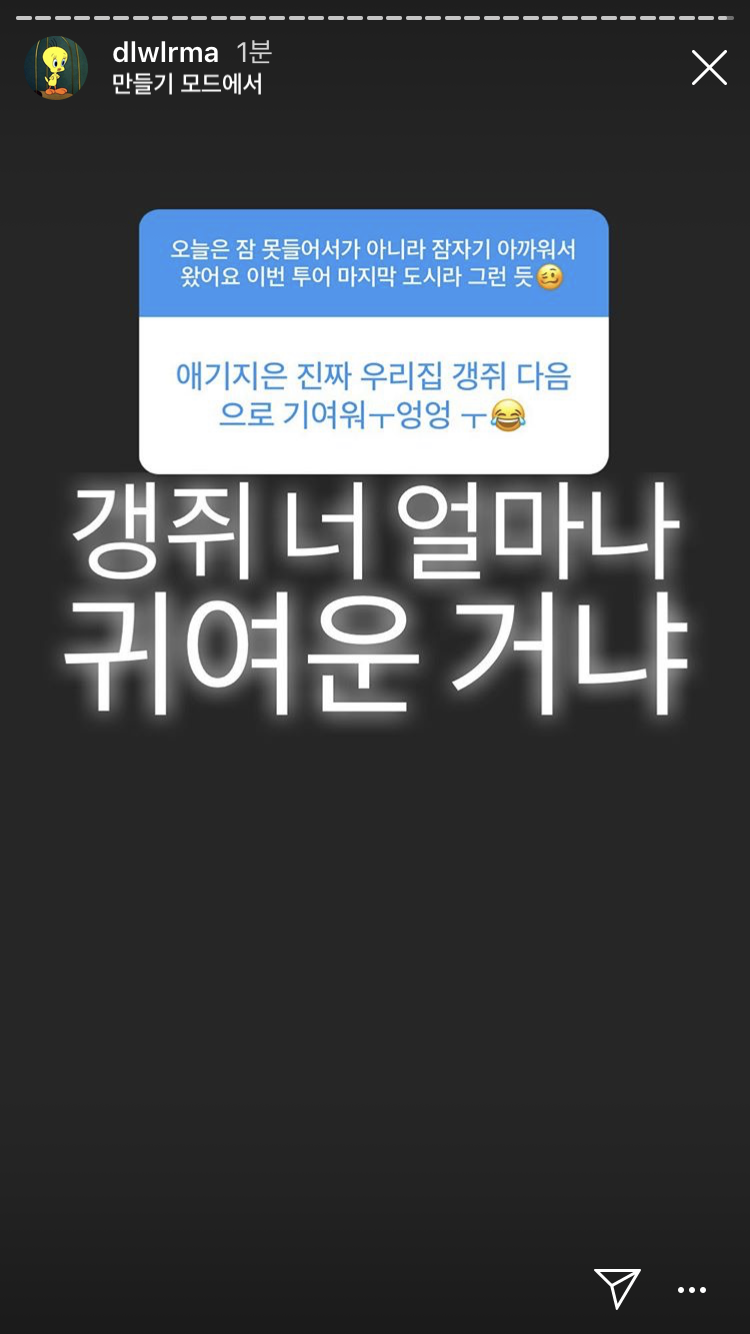 앜ㅋㅋㅋㅋㅋㅋㅋㅋ아이유 이 답변 진짜 너무 귀여워!!!!!!!!! | 인스티즈