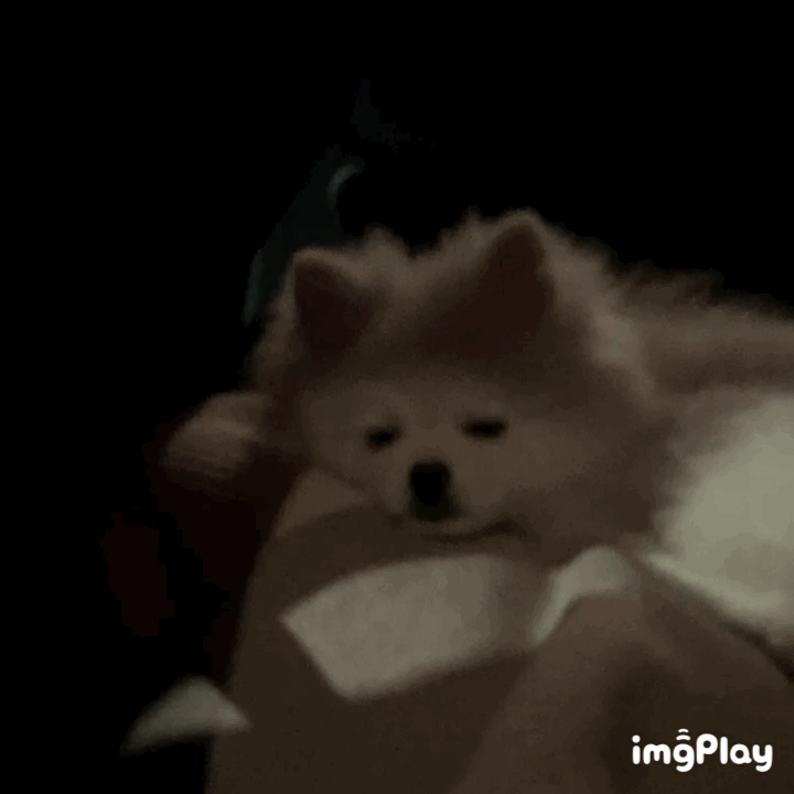 익들아 이거 안보면 후회함ㅠㅠㅠㅠㅜㅜㅜㅜㅜㅜㅜㅜㅜㅜㅜ | 인스티즈