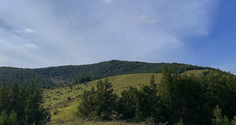 제주익이라서 좋은 점💛 | 인스티즈