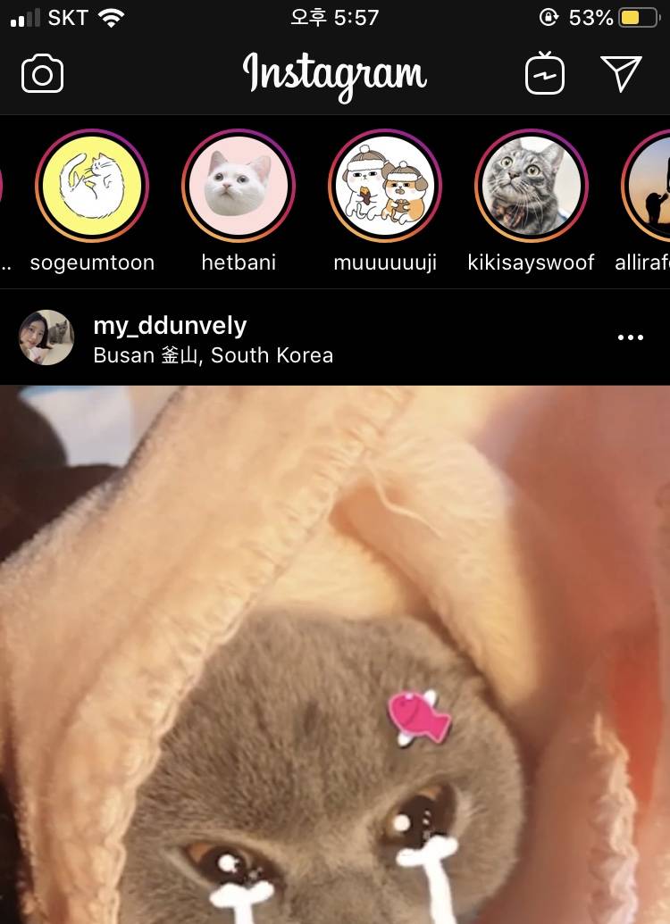 인스타 이거 활동중인거야..?? | 인스티즈