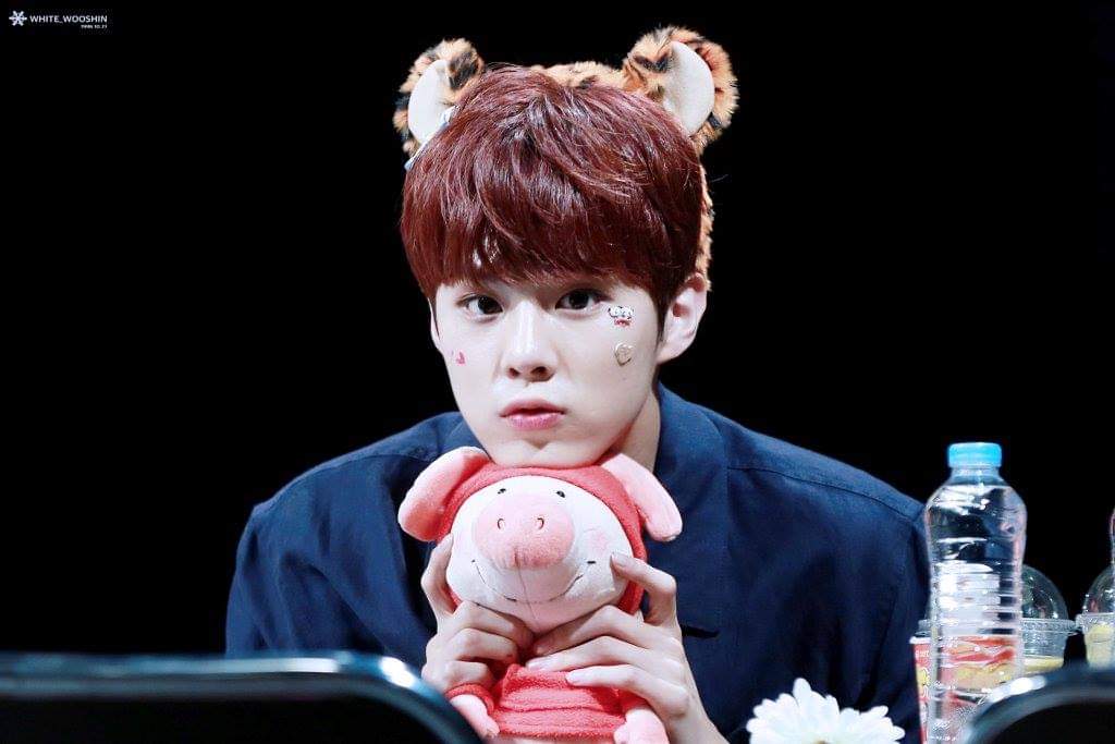 김우석 아기요정 시절 | 인스티즈