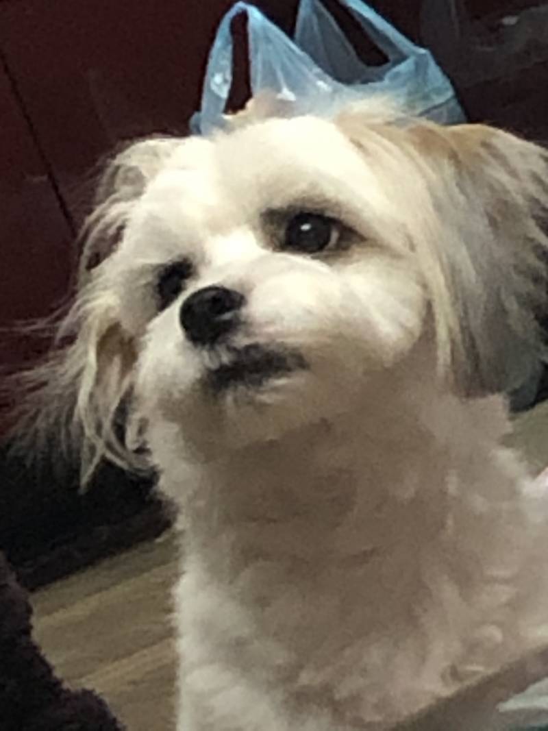 여러분 베스킨31에 녹차랑 치즈 들어간 아이스크림 있어?!?!!! | 인스티즈