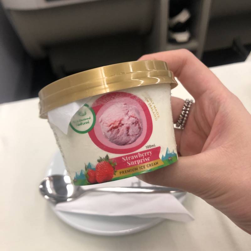 ✈️대한항공 시드니➡️인천 프레스티지석 (비즈니스석) 40✈️ | 인스티즈