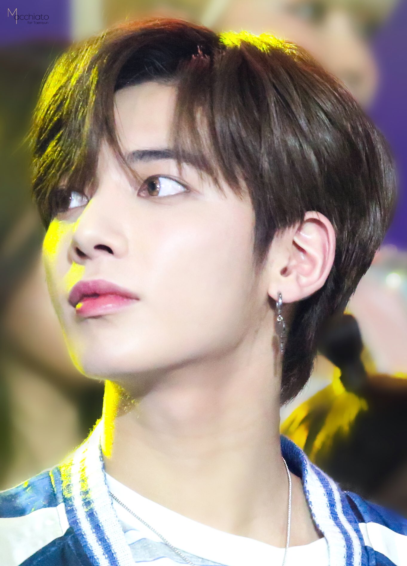 다시 강태현 처돌이들로 돌아왔다.. | 인스티즈