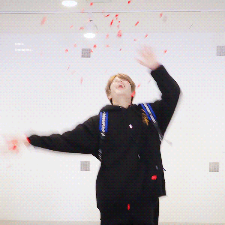 아이돌하는 강아지들 | 인스티즈