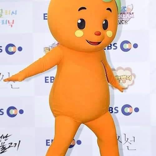 뿡뿡이 다이어트+성형 | 인스티즈