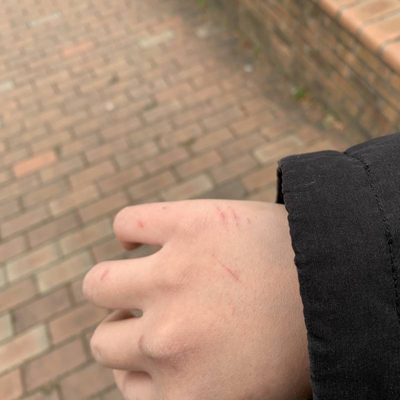 빵집에서 일했더니 손이... | 인스티즈