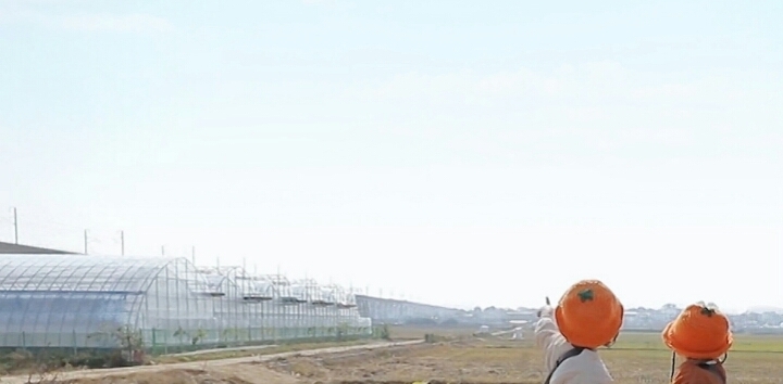 귤이 너무 귀여워ㅠㅠ | 인스티즈