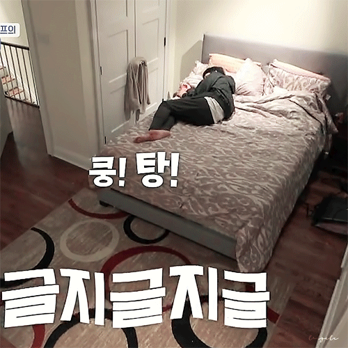 진짜 10덕 터지는 3일전에 입덕한 내 본진 볼래? | 인스티즈