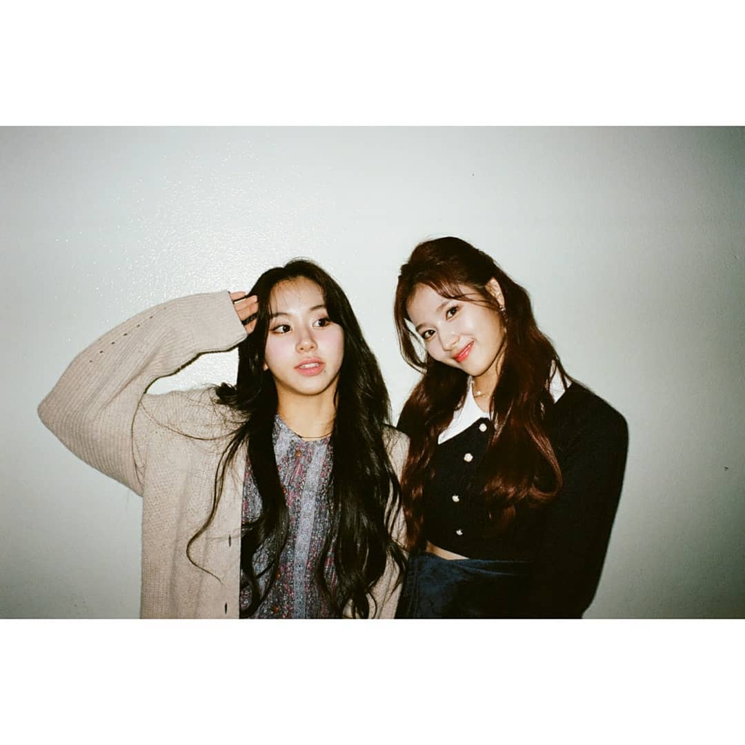 응 오늘 귀여운 사나 생일이니까 이거나 관심가져줘 | 인스티즈