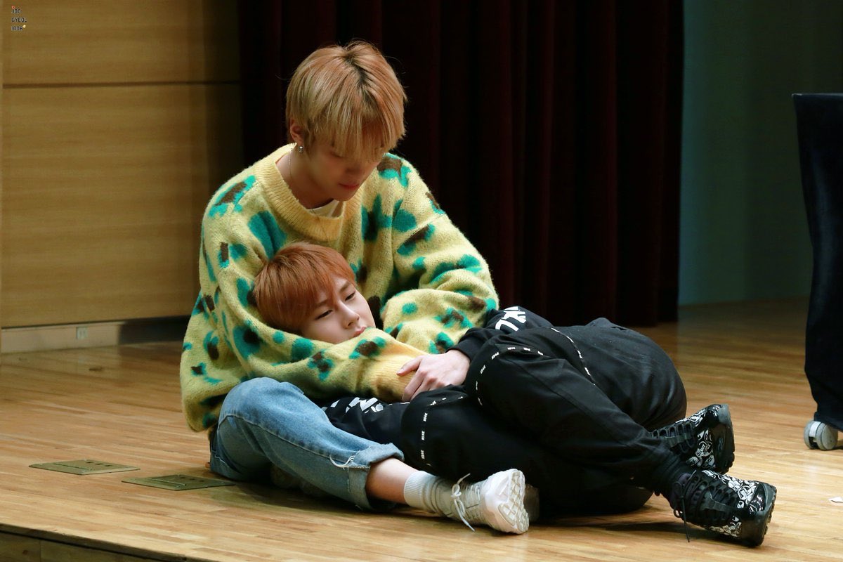 서로 본인이 놀아준다고 생각하는 조합 너무좋앜ㅋㅋㅋㅋ | 인스티즈