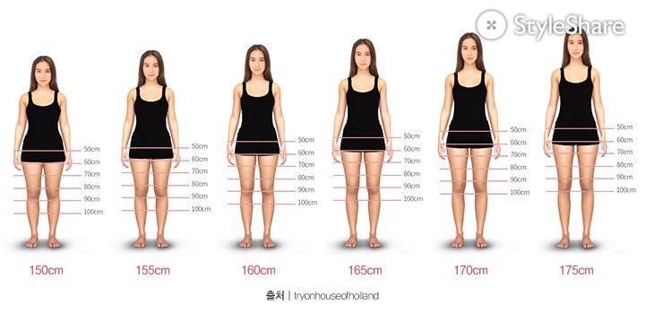 키별 평균 총길이..? 맞는거같애? | 인스티즈