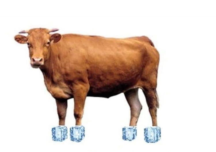 김구라 오늘 진짜 | 인스티즈