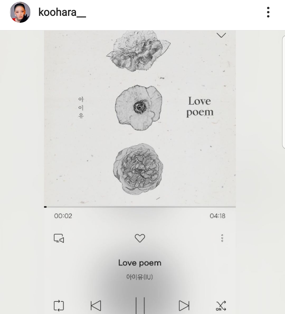 혹시 하라가 썼던 뮤직 플랫폼 어떤건지 아는익들 이써? | 인스티즈