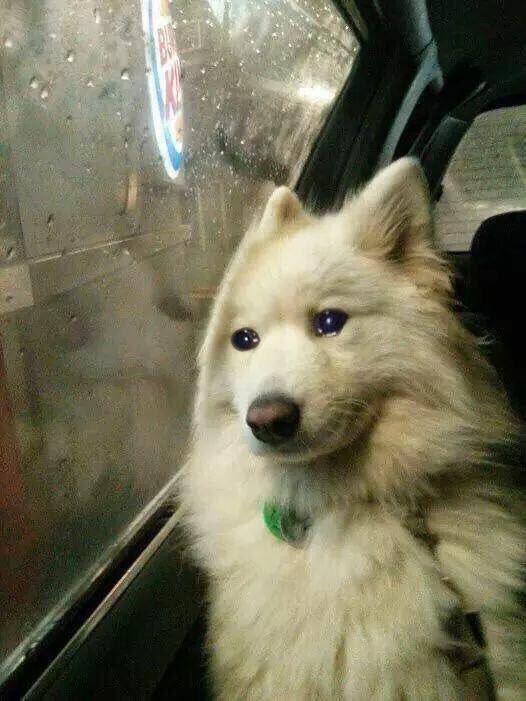 태현아 내 오빠가 되어줘 | 인스티즈