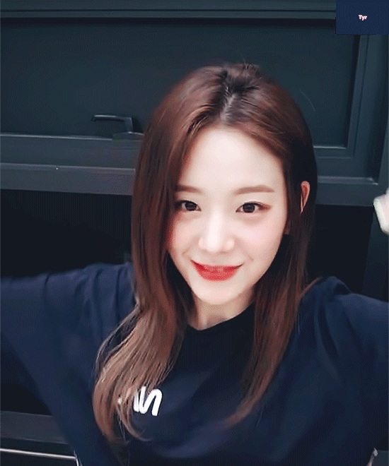 나 약간 댕댕이상 좋아하나 봐 | 인스티즈