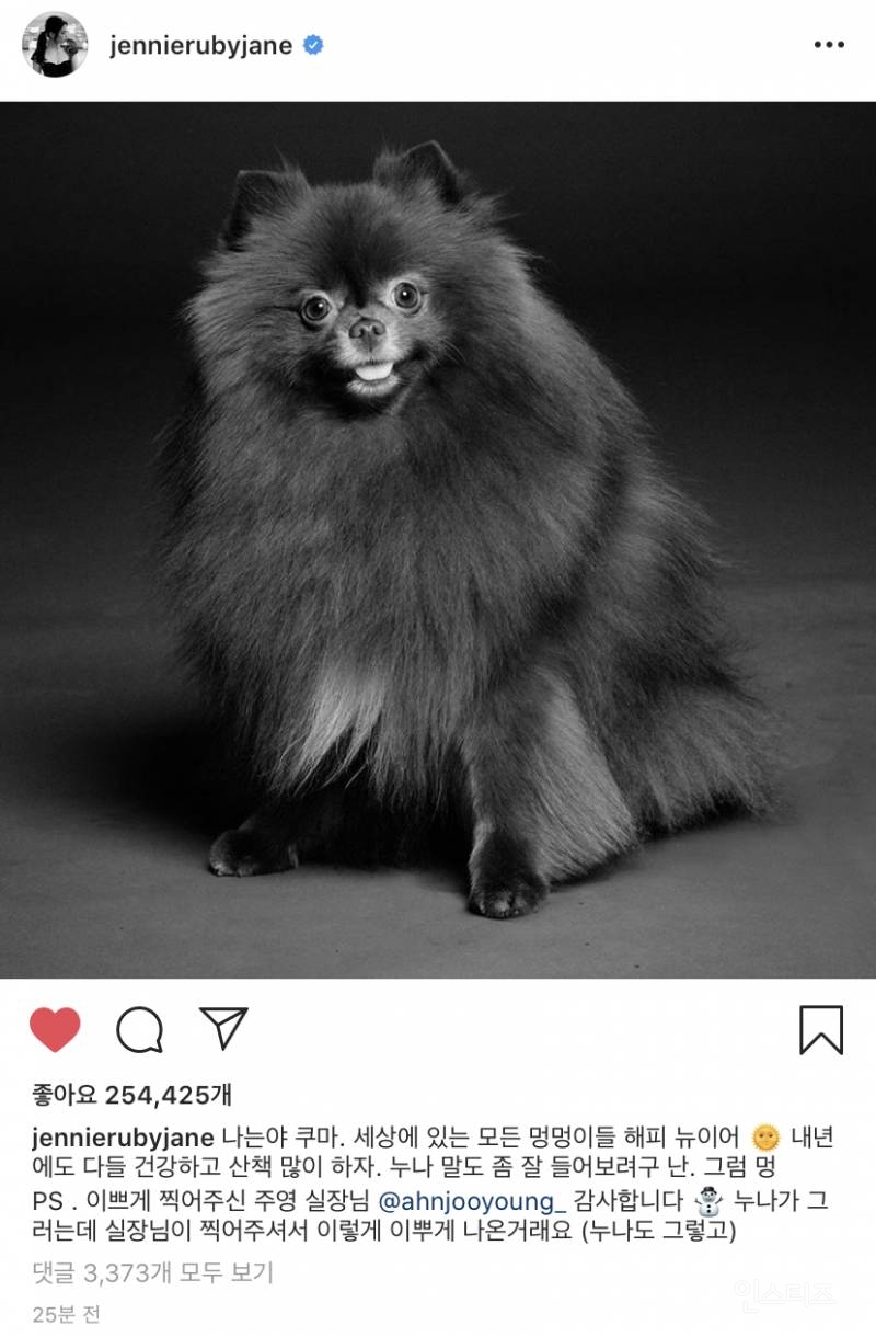 전세계 최초 인스타하는 강아지 (feat.제니) | 인스티즈